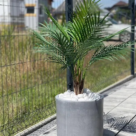 Casa de Férias Baltic *