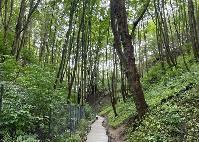 Baltic Ястшембя-Гура