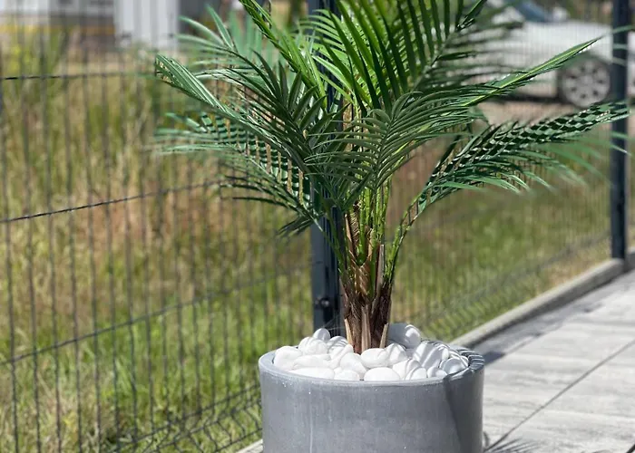 Дом отдыха Baltic *